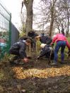 Planting the hedge 2012